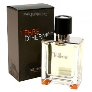Hermes Terre D'hermes Parfüm Edt 100ml Erkek Özel Kutulu Parfüm